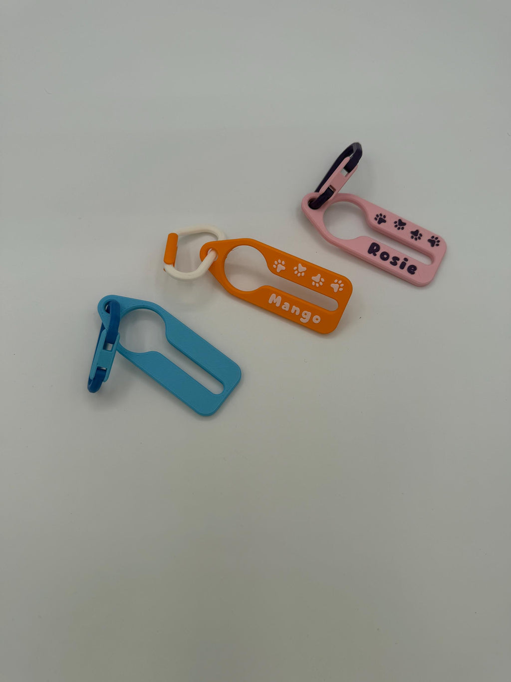 Personalized leash tag with a custom pet name and paw print detail
